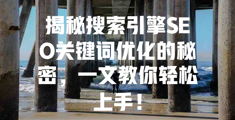 揭秘搜索引擎SEO关键词优化的秘密,一文教你轻松上手! 一