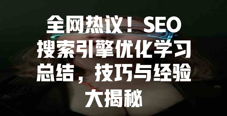 全网热议!SEO搜索引擎优化学习总结,技巧与经验大揭秘 一