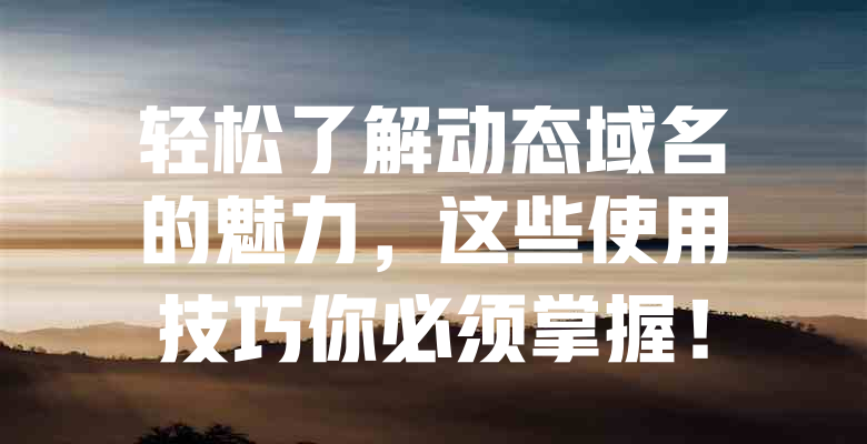 轻松了解动态域名的魅力,这些使用技巧你必须掌握! 一