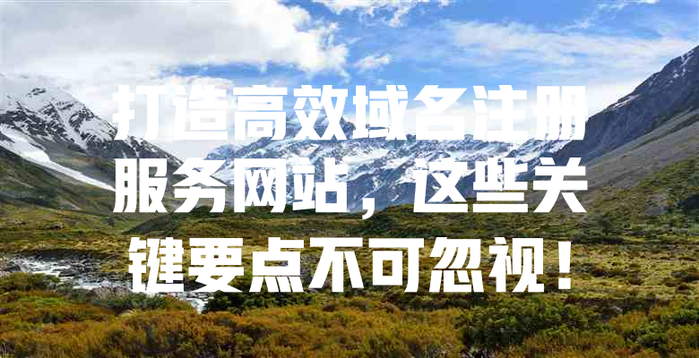 打造高效域名注册服务网站,这些关键要点不可忽视! 一