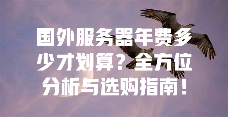 国外服务器年费多少才划算?全方位分析与选购指南! 一