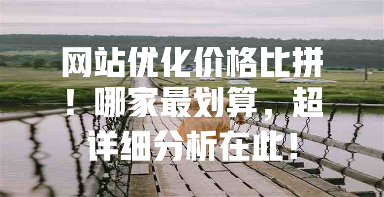 网站优化价格比拼!哪家最划算,超详细分析在此! 一