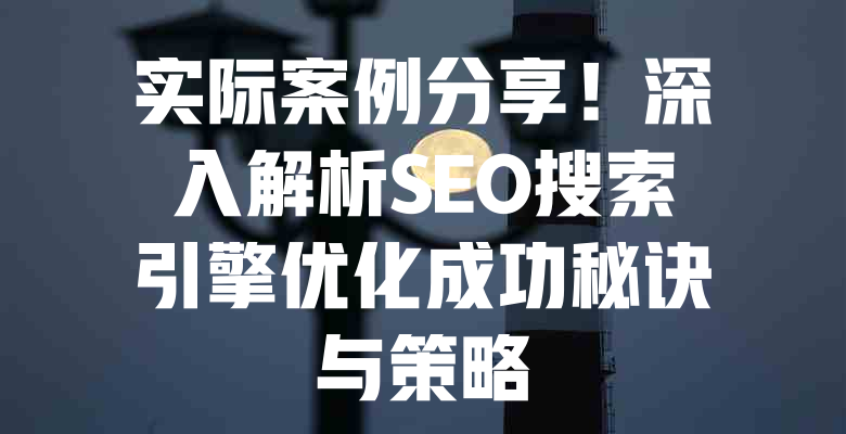实际案例分享!深入解析SEO搜索引擎优化成功秘诀与策略 一