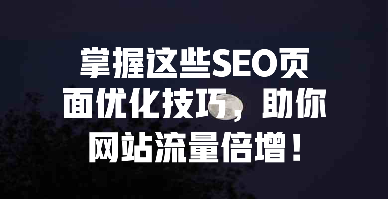 掌握这些SEO页面优化技巧,助你网站流量倍增! 一