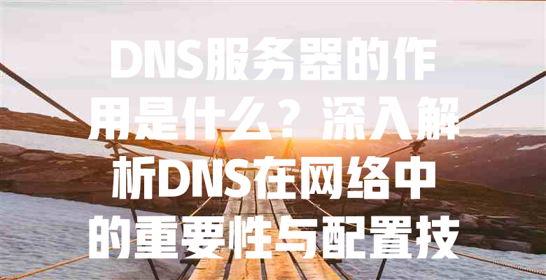 DNS服务器的作用是什么?深入解析DNS在网络中的重要性与配置技巧 一