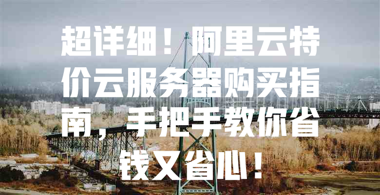 超详细!阿里云特价云服务器购买指南,手把手教你省钱又省心! 一