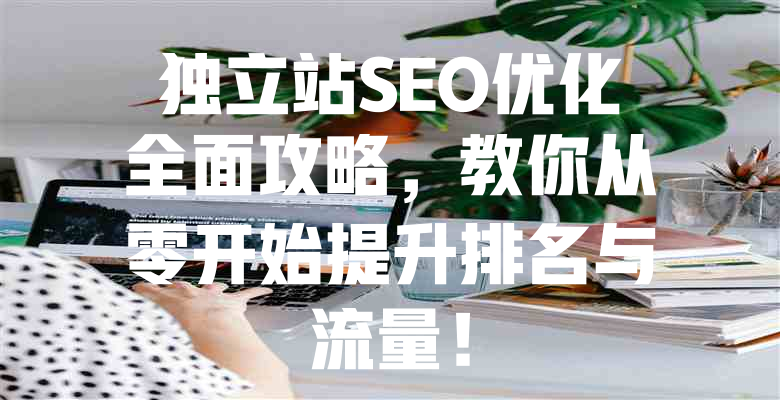 独立站SEO优化全面攻略,教你从零开始提升排名与流量! 一