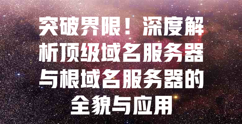 突破界限!深度解析顶级域名服务器与根域名服务器的全貌与应用 一