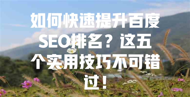 如何快速提升百度SEO排名?这五个实用技巧不可错过! 一