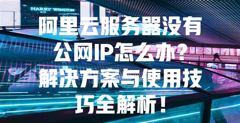 阿里云服务器没有公网IP怎么办?解决方案与使用技巧全解析! 一