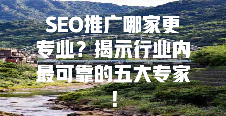SEO推广哪家更专业?揭示行业内最可靠的五大专家! 一