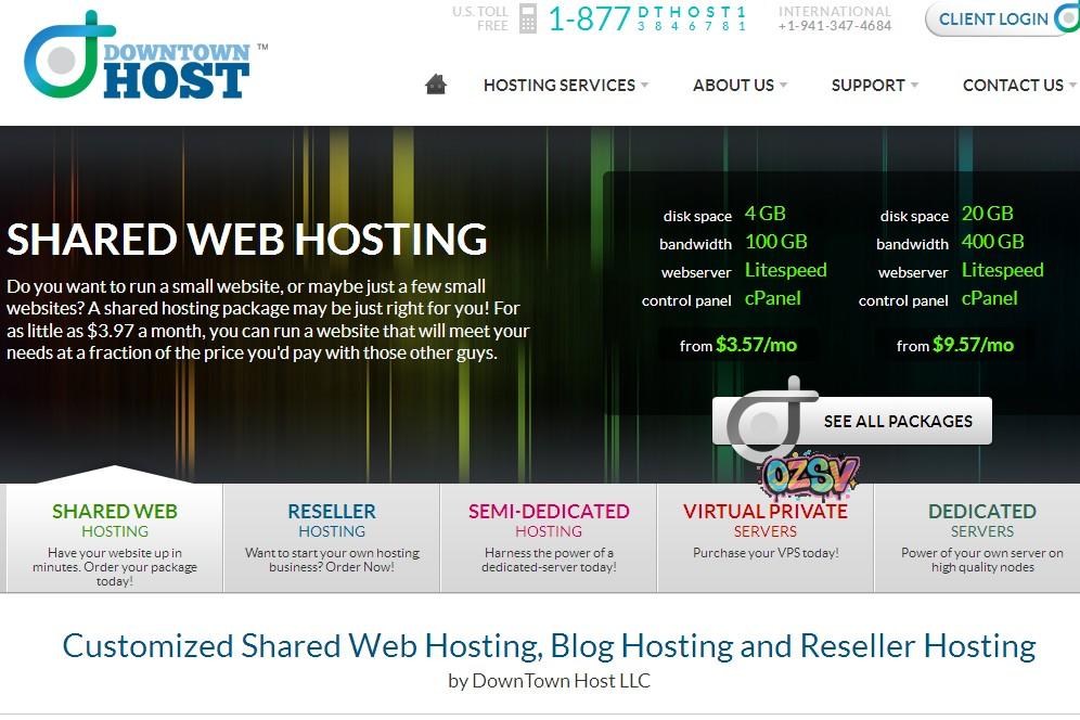 downtownhost 推荐:DowntownHost-主机3折/还可以免费升级