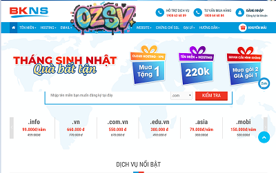 bkns：越南站群vps，$25/月，3G内存/3核/50gSSD/100M带宽(不限流量)/5个IPv4-欧站网
