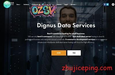 dignusdata：高配香港VPS（路由直连），€28/月，4G内存/8核/120gSSD/10T流量-欧站网