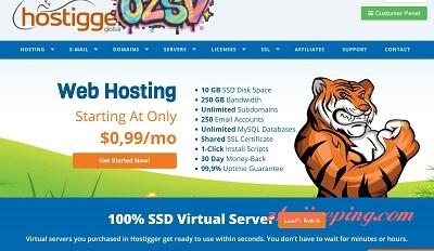hostigger- 2.99美元/2g内存/20gSSD/2T流量/VMware/windows-欧站网