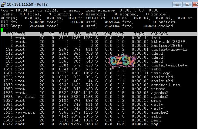 ramnode-月付3.5美元512m内存标准版openvz简单测评-欧站网