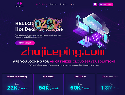 越南VPS：tothost，$28/年，512M内存/1核/8gSSD/100M带宽/不限流量-欧站网