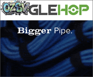 image-7131820-11440560 singlehop-服务器免费升级G口30T月流量