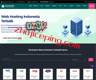 natanetwork：印度尼西亚VPS(印尼VPS)，$8/月，2G内存/2核/100g硬盘/不限流量/1Gbps带宽-欧站网