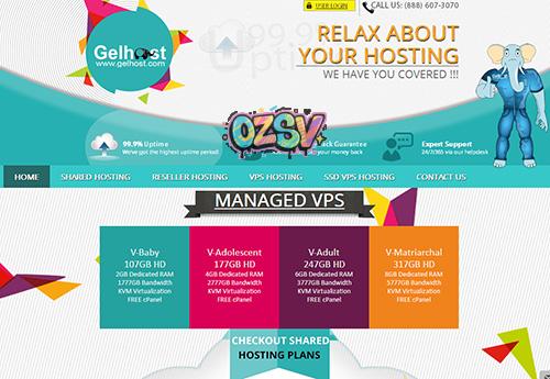 Gelhost-$25年付/KVM/256m内存/7gSSD/177G流量/芝加哥-欧站网
