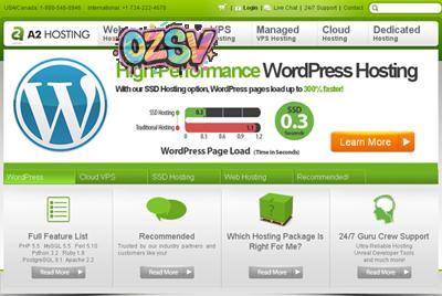 7条胜过VPS：a2hosting-$3.9美元/不限建站/不限SSD/不限流量/SS-欧站网