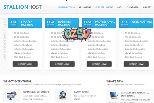 stallionhost-$6.5/年/128m内存/5g硬盘/300g流量-欧站网