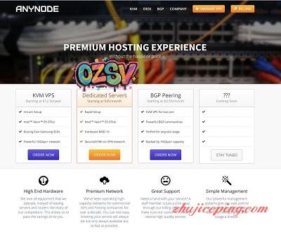 anynode：拉斯维加斯VPS，$15/年，KVM/1G内存/1核/20gSSD/2T流量(/月)-欧站网