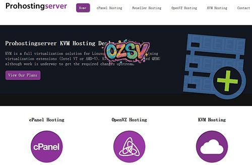 prohostingserver-$5/Kvm/可Win/1g内存/80g硬盘/1T流量/凤凰城-欧站网