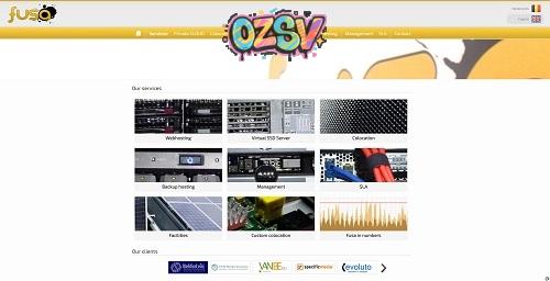 FUSA-5欧元/阿童木/1g内存/250g硬盘/100m端口/比利时机房-欧站网