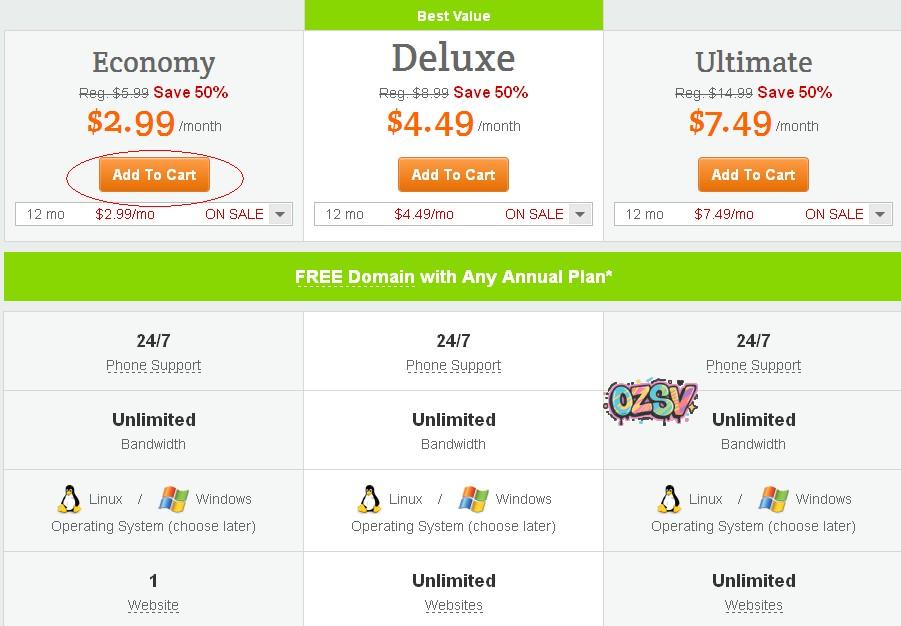 gd-1 godaddy-Economy主机年付12美元(100G硬盘)