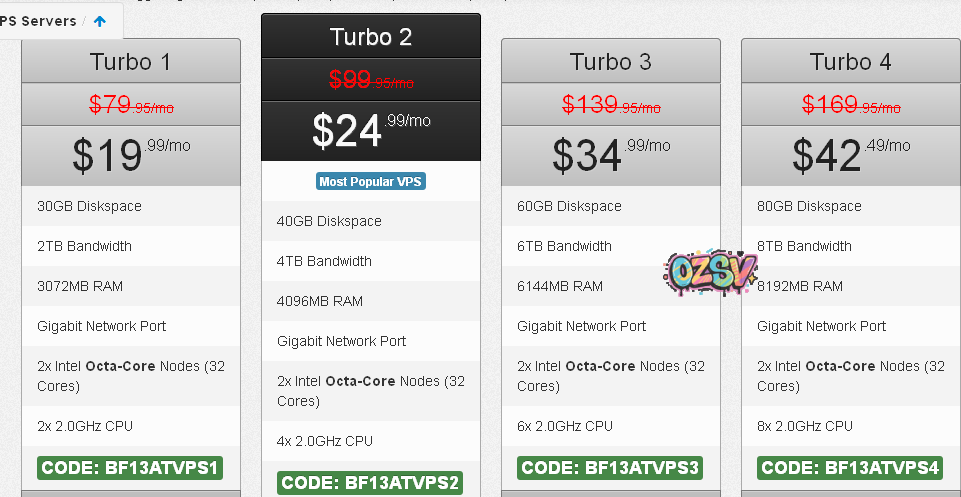 t-vps 推荐:turnkeyinternet-黑色星期五2.5折超低价