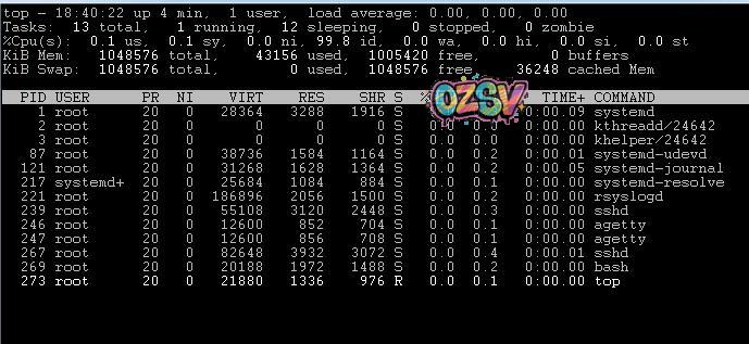 hostus新加坡softlayer机房VPS测评[1G内存]-欧站网