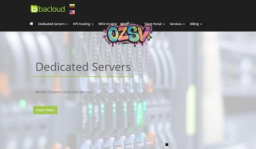 bacloud-$25/I3-3220/8G内存/2tHDD或120gSSD/100m不限流量-欧站网