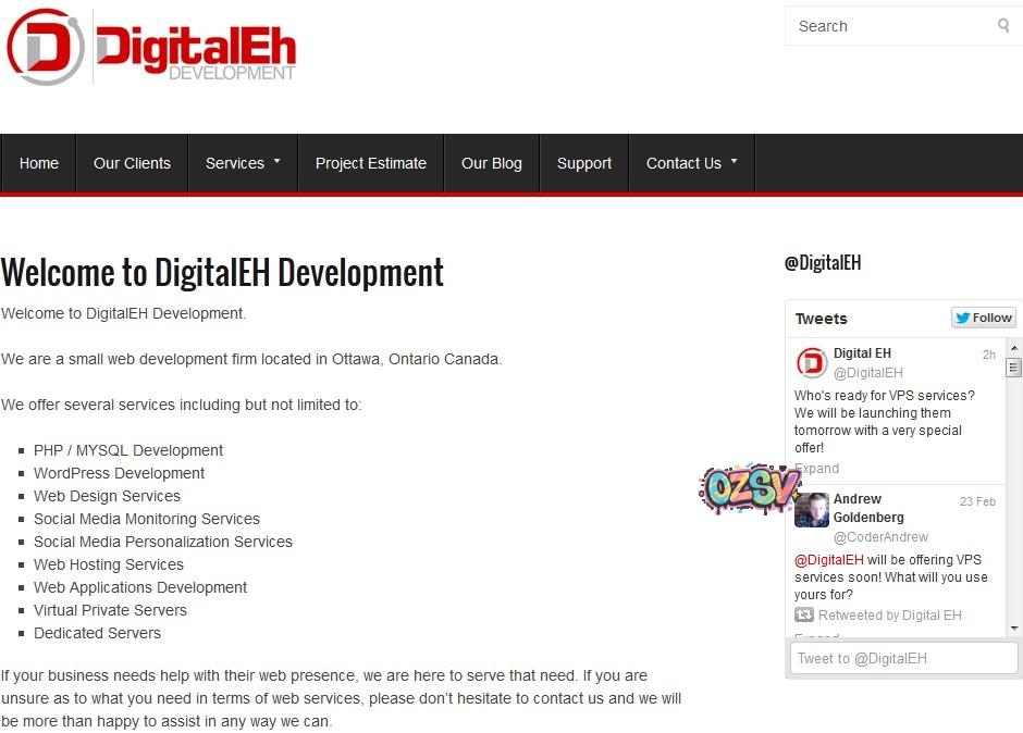 digitalleh digitaleh/4G内存/6G突发/纽约/7美元/月