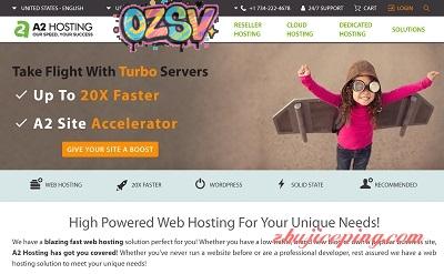 #blackfriday# a2hosting – 低至3.3折/虚拟主机/VPS/Reseller/4机房可选-欧站网