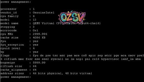 ultravps西雅图机房1G内存/KVM简单测评-欧站网