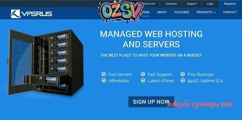 VpsRus-3.5美元/windows/1g内存/80g硬盘/1T流量-欧站网