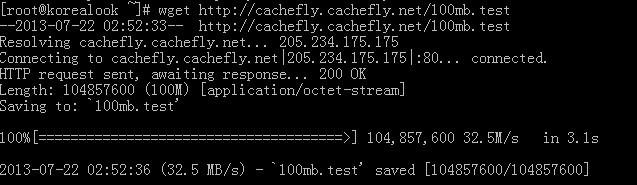 wget253 123systems-2g内存/35g硬盘/3T流量/年付30刀/G口