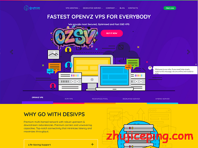desivps：美国VPS（洛杉矶）/荷兰VPS，$30/年起，KVM虚拟/2g内存/1核/20gSSD/2.5T流量/1Gbps带宽-欧站网