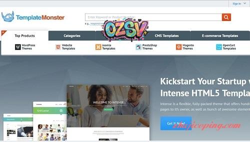TemplateMonster-模板7折/wordpress/Joomla/PrestaShop/Magento/OpenCart/MotoCMS-欧站网