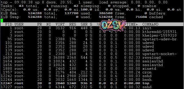 wable-简单测评/512m内存/OVZ/达拉斯VPS-欧站网