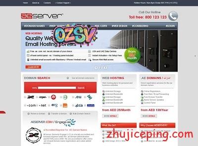 aeserver：迪拜VPS\迪拜独立服务器，月付19美元起，支持IPv6-欧站网
