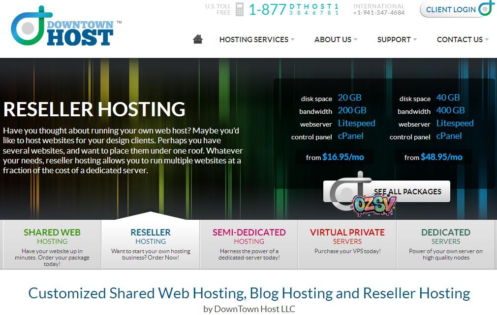 downtownhost 真心鼎力推荐:downtownhost主机4折促销(有新加坡数据中心)
