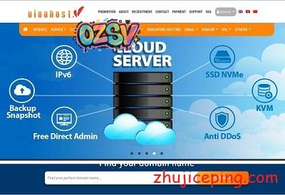 vinahost：泰国独立服务器，100Mbps带宽，不限流量，$240/月-欧站网