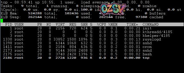 vpsdime-7美元年付512M内存VPS简单测评-欧站网