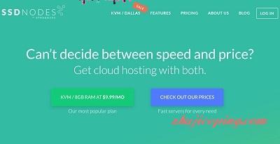 ssdnodes-$9.99/KVM/8G内存/80gSSD/4核/8T流量/10Gbps带宽-欧站网