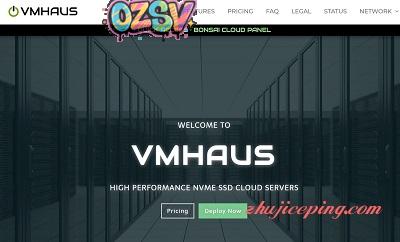 vmhaus -英国VPS/KVM/$15年/256内存/5gNVMe/1T流量-欧站网