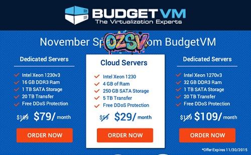 #黑色星期5#：budgetvm-服务器低至$29/月,黑色星期五提前开启-欧站网