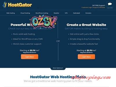 hostgator：cpanel虚拟主机，4折促销，适合中小网站-欧站网