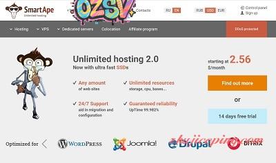 俄罗斯主机商：smartape.ru简单介绍，域名、主机、VPS、服务器-欧站网
